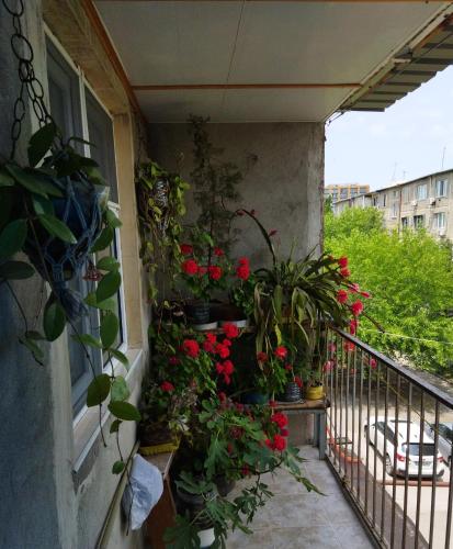 Бабушкин уют в РУСТАВИ in Rustavi