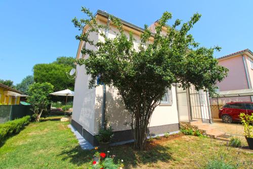 Apartment Bozana 1840 - image 4
