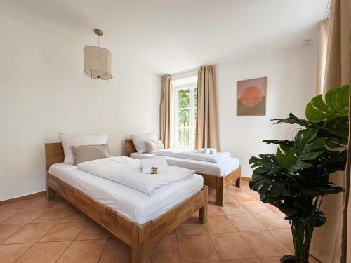 ma suite - city sol apartment - centrum - private parking, Augusta (Augsburg) (foto 5)