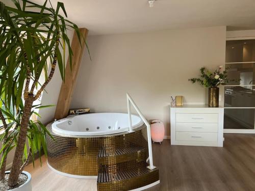Luxury Private Spa with golden bath, cinema and sauna in Bodegraven