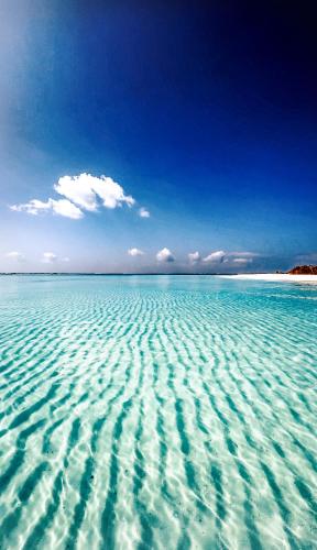 Beach Inn Vashafaru in Haa Alif Atoll