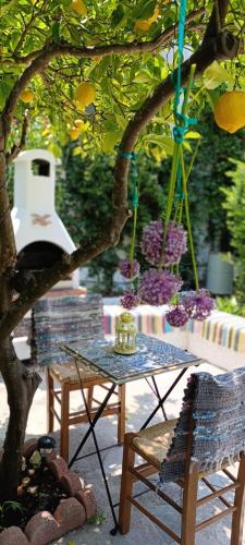 Stamatia's Garden