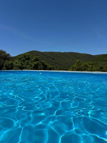 AZIENDA AGRITURISTICA S'ARGALASI - B&B - AFFITTACAMERE Loc S'Argalasi Austis in Austis