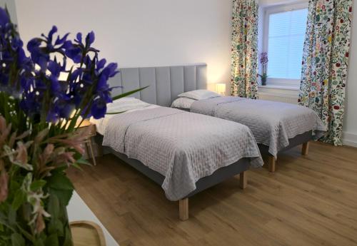 Apartament Sikorskiego 65 in Кентшин