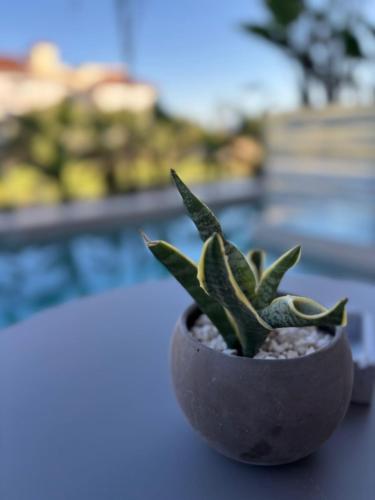 Nomas Living - Zakynthos