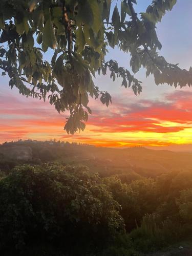 Agriturismo Cascina Anrì 5