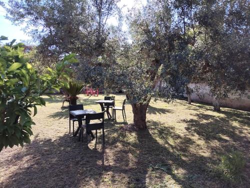 Il Ritrovo Naturale Vacation Home in Monte Migliore-la Selvotta