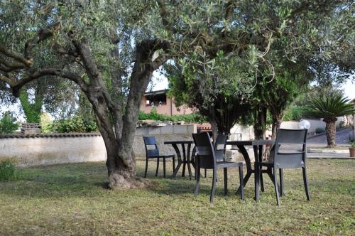 Dārzs, Il Ritrovo Naturale Vacation Home in Monte Migliore-la Selvotta