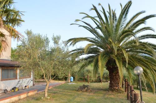 Сад, Casa vacanze con vista unica piscina & parcheggio gratis in San Leucio Del Sannio