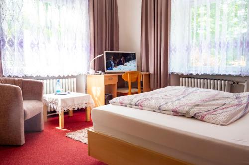 沃夫莎索尼亞酒店 (Wohlfuhlhotel Saxonia) in 巴特基辛根