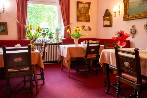 沃夫莎索尼亞酒店 (Wohlfuhlhotel Saxonia) in 巴特基辛根