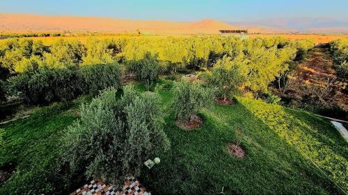DAR MORAD VILLA AVEC PISCINE PRIVEE DANS UNE FERMe in Ait Ourir