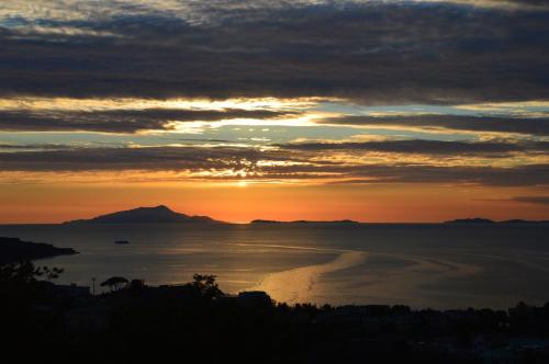 Hotel Cristina - image 14
