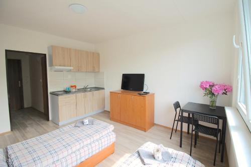 Hotelovy dum Areal in Jih