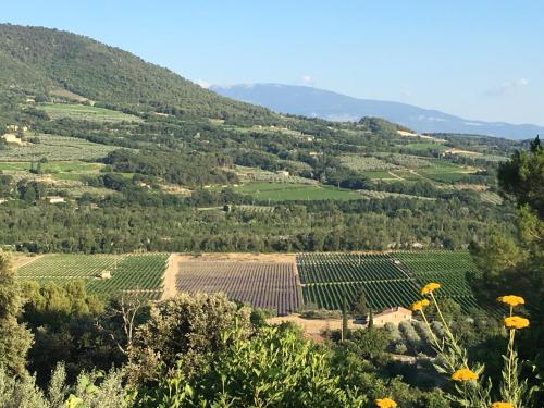 La Villa des Poètes - Chambre d'hôtes - Nyons
