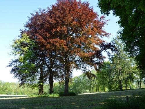 Modern Holiday Home in Chevron with Private Garden - image 37