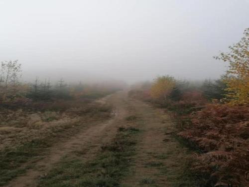 Modern Holiday Home in Chevron with Private Garden - image 39