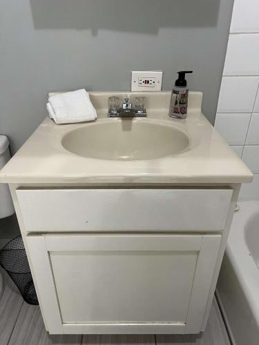 South Loop 2 Bedroom Apt - image 13