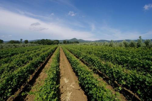 Agriturismo Eucaliptus
