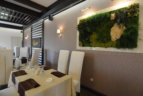 Hotel Vila Class - image 8