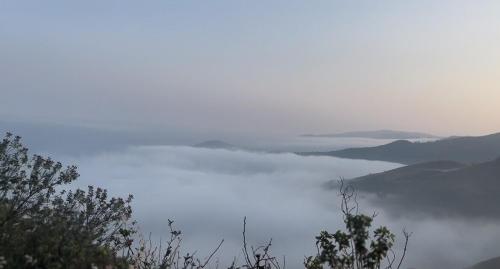 Tranquil Retreat in Ulluvagilu