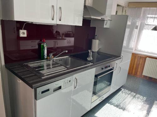Apartmán na loučkách u lesa (Apartman na louckach u lesa) in Dolani