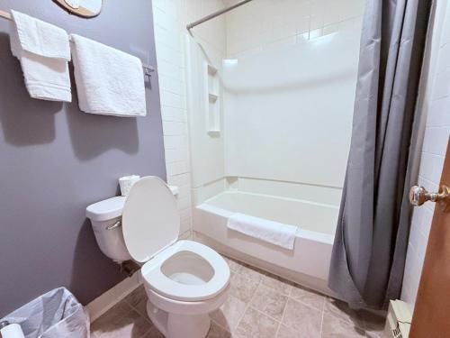 Hotel O Castle Town Ida Grove Hwy 175  - 화장실
