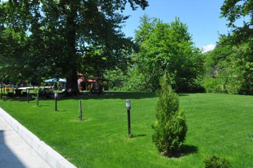 Hotel Delta - image 6