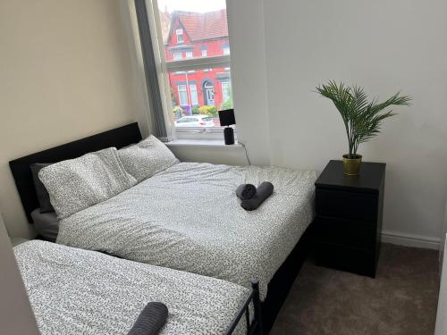 Cozy Apartment, Parking, Wi-Fi, Sleeps 5, Liverpool (fotografie 6)