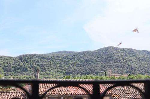 Les Magranes Bed & Breakfast in Argelaguer