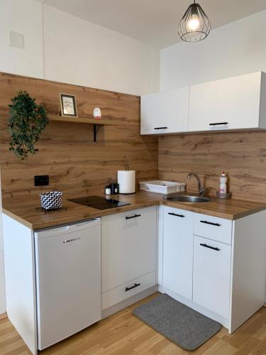 Apartment Polkaposki Trpejca in Trpejca