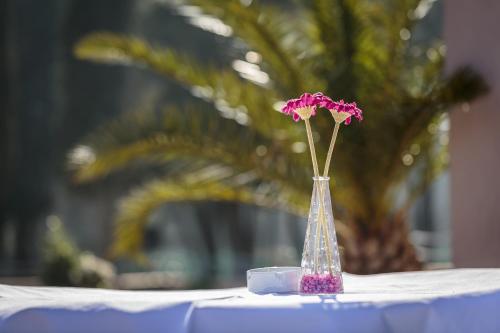 Guest House Navetta - image 7