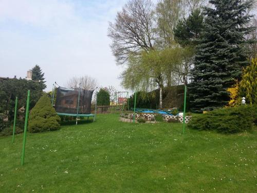 景觀, Ferienwohnung Helma Richter in 拉特曼斯多夫-霍赫