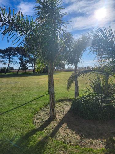 Dārzs, Hotel Colonial ciudad LABOULAYE in Laboulaye