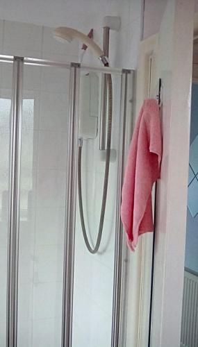 Bed & Breakfast Only - not 24 hour lodging - Truro, Cornwall - free parking, Truro (foto 9)