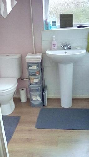 Bed & Breakfast Only - not 24 hour lodging - Truro, Cornwall - free parking, Truro (foto 7)