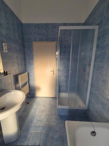 Center flat 160m2, Lublaň (fotografie 4)