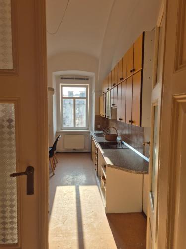 Center flat 160m2, Lublaň (fotografie 3)