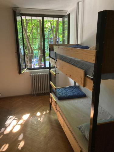6-Bed Mixed Dormitory Room image 10