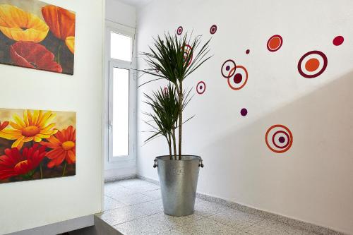 Hostal River - image 8
