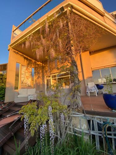 Guest Suite in Marino in Marino