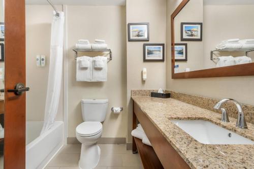 Comfort Suites Myrtle Beach Central - image 14