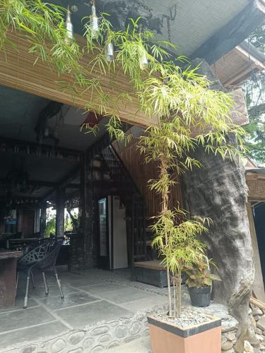 Exterior view, Thousands of Bottles - Hostel and Trekking Agency Sumatra Orangutan Nature in Bukit Lawang