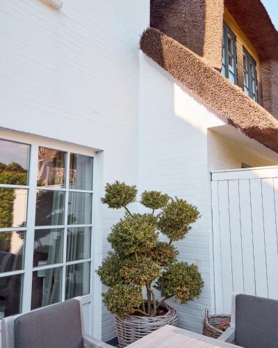 Balcony/terrace, Reethus Keitum mit Kamin und Sudgarten in direkter Wattnahe in Klentertal