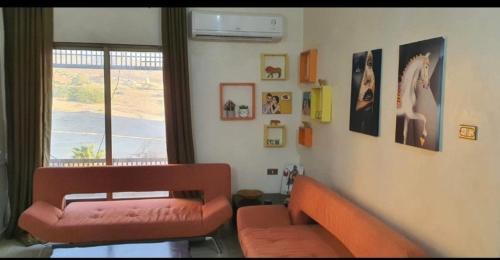 swahmaya apartments for rent in Dead Sea