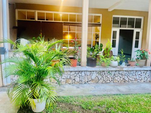 Ester`s Place - image 3