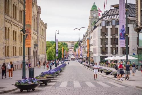 Cozy apartment - new kitchen - city center by the Royal Palace, Oslo (photo 7)