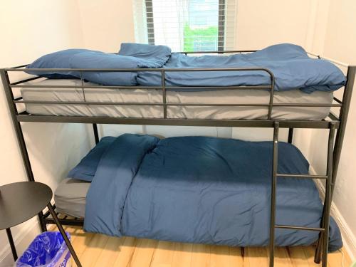Chelsea Studio-Shared Bathroom with Kitchen Twin Bunk Bed, New York (Foto 4)