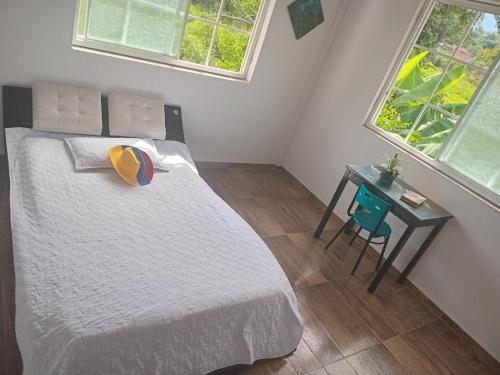 Trekkers haven Bed & Spanish lessons in Piedecuesta