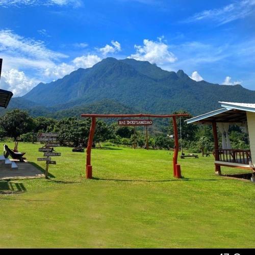 Doi Piang Dao Farm